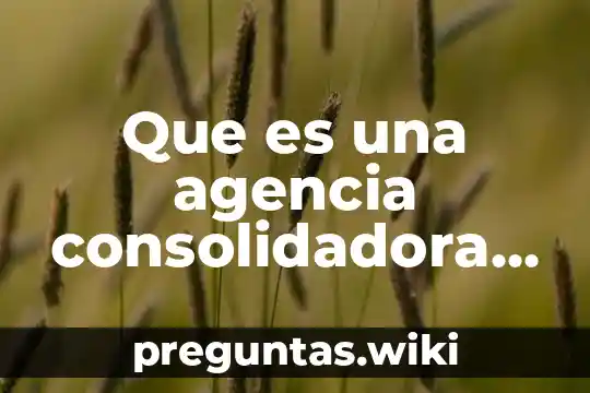 Que es una agencia consolidadora de carga