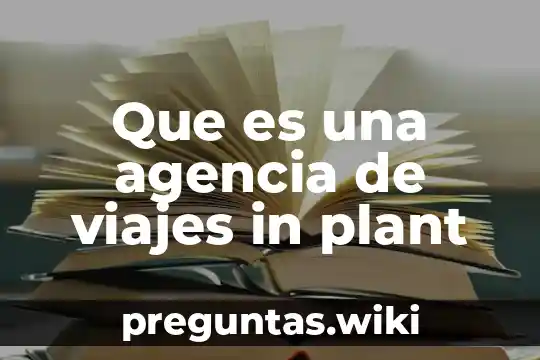 Que es una agencia de viajes in plant