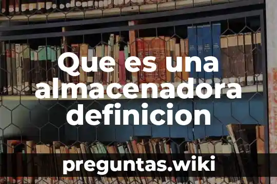 Que es una almacenadora definicion