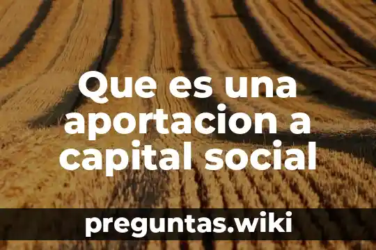 Que es una aportacion a capital social