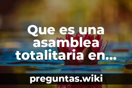 Que es una asamblea totalitaria en una sociedad mercantil