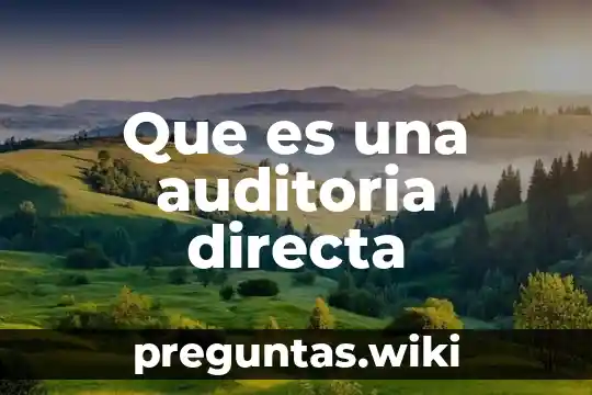 Que es una auditoria directa