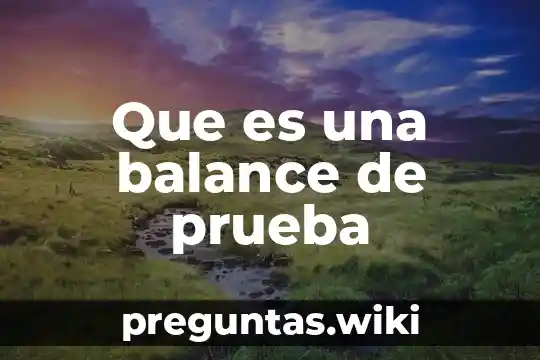 Que es una balance de prueba