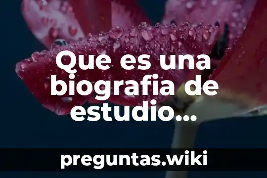 Que es una biografia de estudio universal