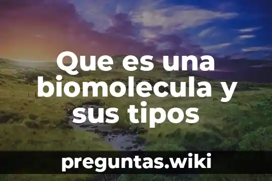 Que es una biomolecula y sus tipos