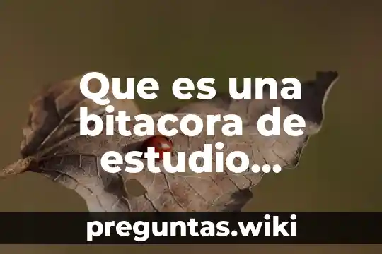 Que es una bitacora de estudio ejemplo