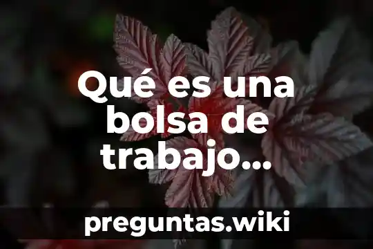 Qué es una bolsa de trabajo definición