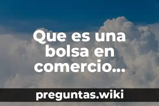 Que es una bolsa en comercio exterior