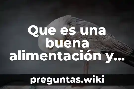 Que es una buena alimentación y en qué nos beneficia