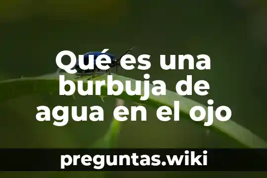 Qué es una burbuja de agua en el ojo