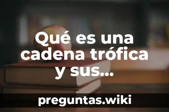 Qué es una cadena trófica y sus elementos