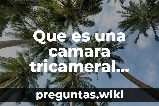 Que es una camara tricameral yahoo