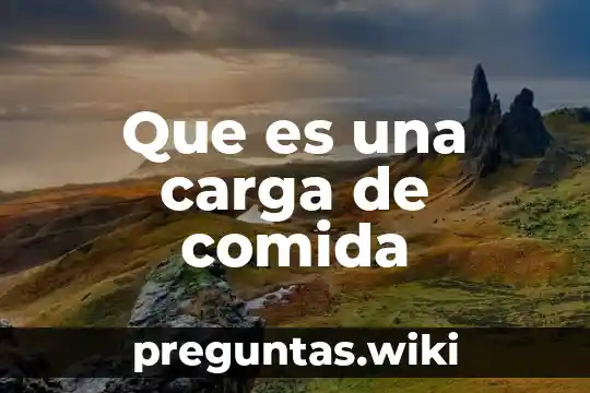 Que es una carga de comida