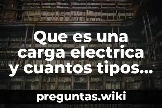 Que es una carga electrica y cuantos tipos hay