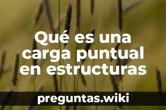 Qué es una carga puntual en estructuras