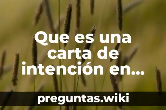 Que es una carta de intención en psicología