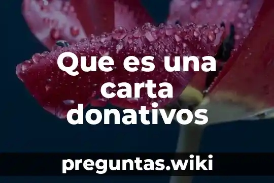 Que es una carta donativos