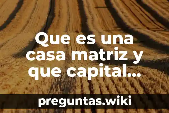 Que es una casa matriz y que capital tien