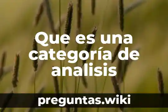 Que es una categoría de analisis
