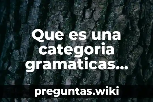 Que es una categoria gramaticas segun