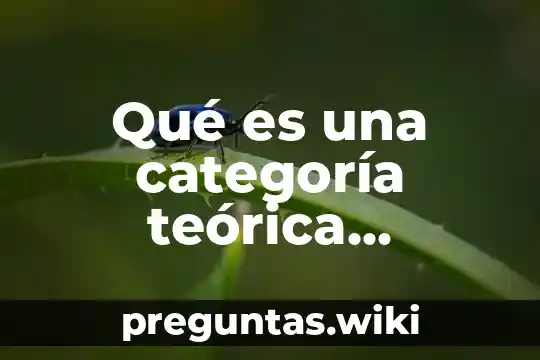Qué es una categoría teórica ejemplos