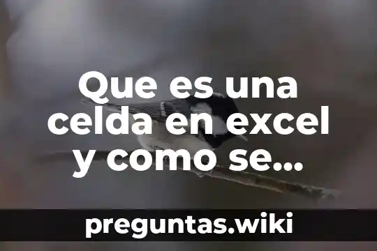 Que es una celda en excel y como se identifica