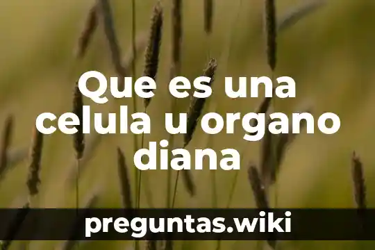 Que es una celula u organo diana