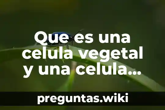 Que es una celula vegetal y una celula animal