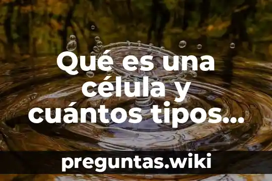 Qué es una célula y cuántos tipos existen