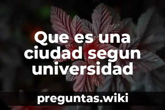 Que es una ciudad segun universidad