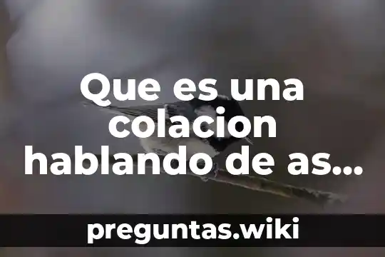 Que es una colacion hablando de as comidas de dia