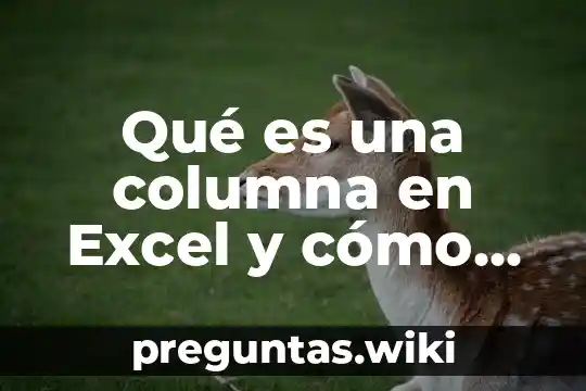 Qué es una columna en Excel y cómo se enlista