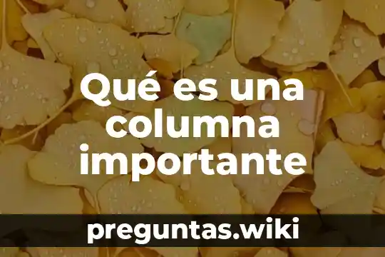 Qué es una columna importante