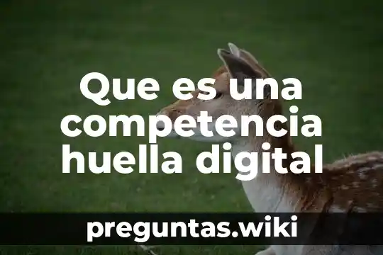 Que es una competencia huella digital