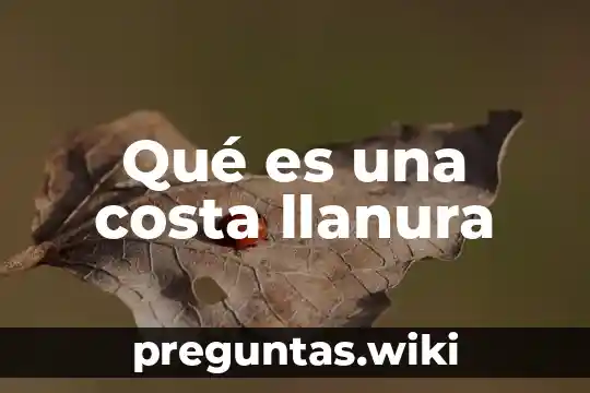 Qué es una costa llanura