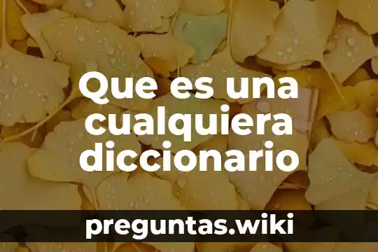 Que es una cualquiera diccionario