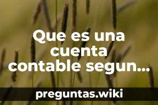 Que es una cuenta contable segun elias lara