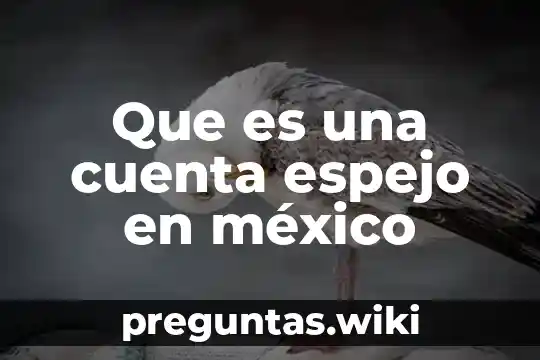 Que es una cuenta espejo en méxico