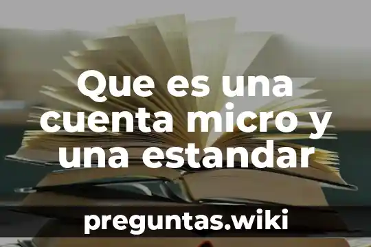 Que es una cuenta micro y una estandar