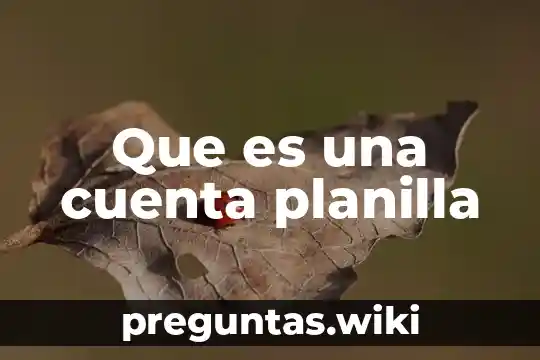 Que es una cuenta planilla