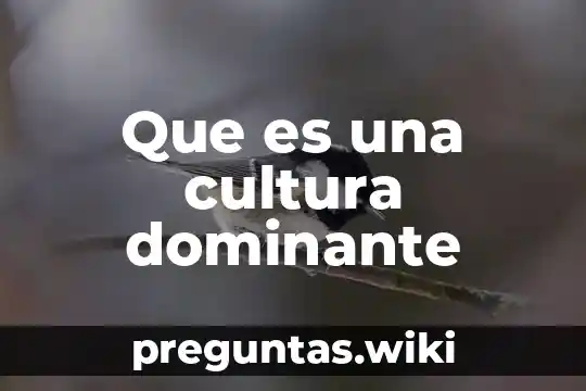 Que es una cultura dominante