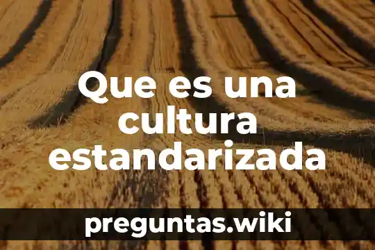 Que es una cultura estandarizada