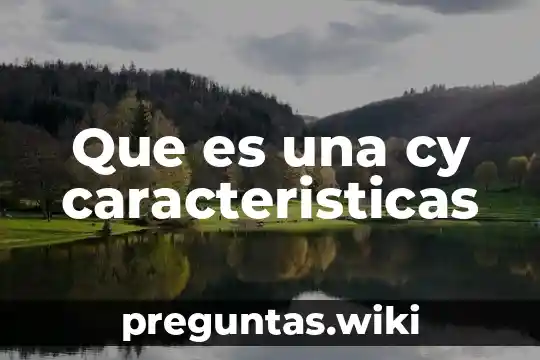 Que es una cy caracteristicas