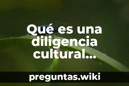 Qué es una diligencia cultural concepto