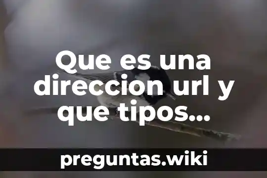 Que es una direccion url y que tipos existen