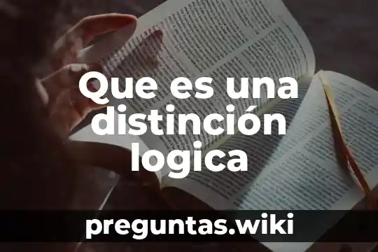 Que es una distinción logica
