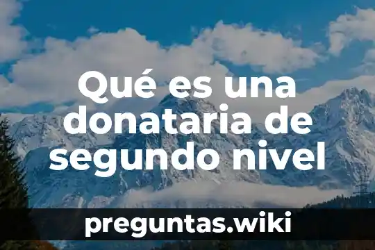 Qué es una donataria de segundo nivel