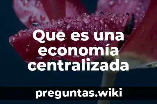 Que es una economía centralizada