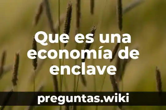 Que es una economía de enclave
