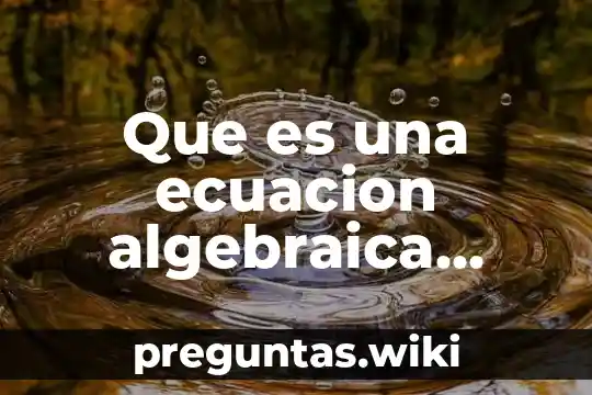 Que es una ecuacion algebraica definicion y ejemplo